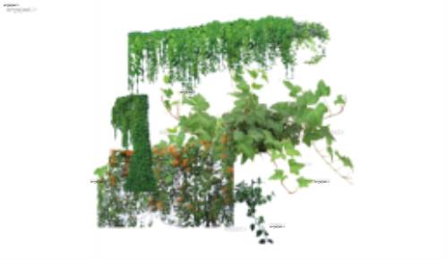 لایه باز گل و بوته