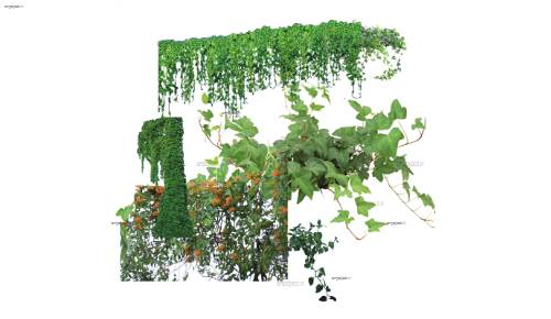 لایه باز گل و بوته لایه باز گل و بوته