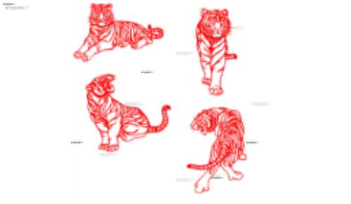 لایه باز ببر