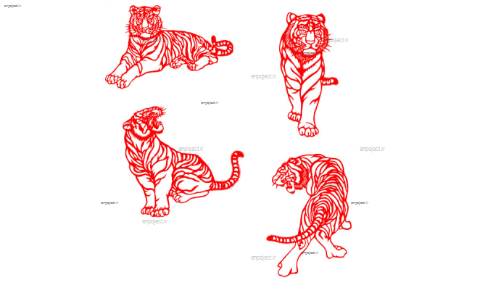 لایه باز ببر لایه باز ببر