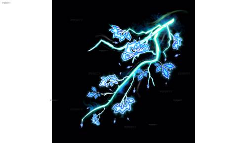 وکتور 6 وکتور 6