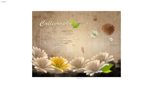 طرح گرافیکی 16 طرح گرافیکی 16