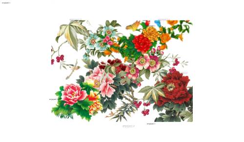 لایه باز گل و بوته