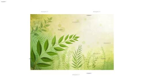 طرح گرافیکی 24 طرح گرافیکی 24