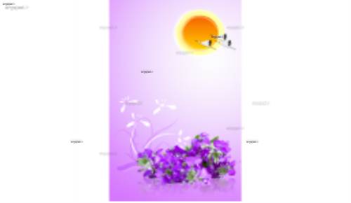 طرح گرافیکی 17