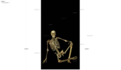 لایه باز اسکلت 12