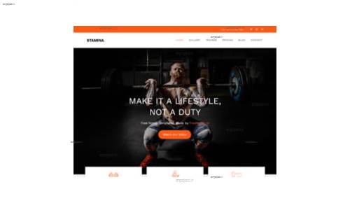 قالب وب سایت Stamina قالب وب سایت Stamina
