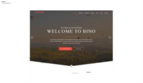 قالب وب سایت Bino