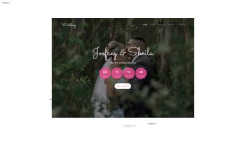 قالب وب سایت Wedding