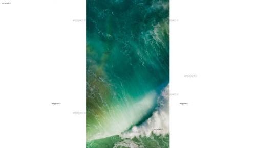 رزین ها رزین ها