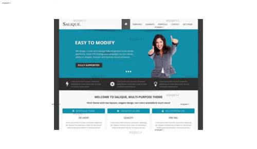 قالب وب سایت Salique v1.0 