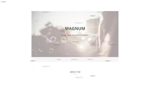 قالب وب سایت Magnum