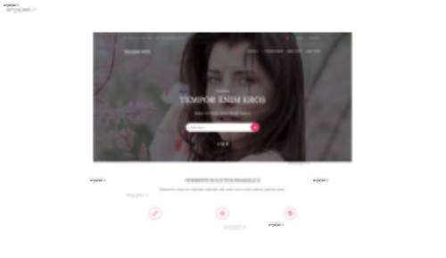 قالب وب سایت maxisonix