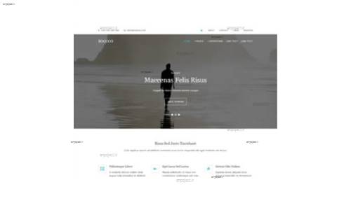 قالب وب سایت Boguco قالب وب سایت Boguco