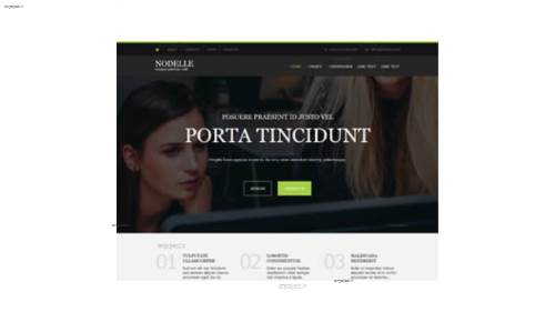 قالب وب سایت Nodelle 