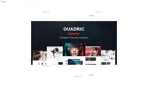 پوسته چندمنظوره و خلاقانه Quadric برای وردپرس