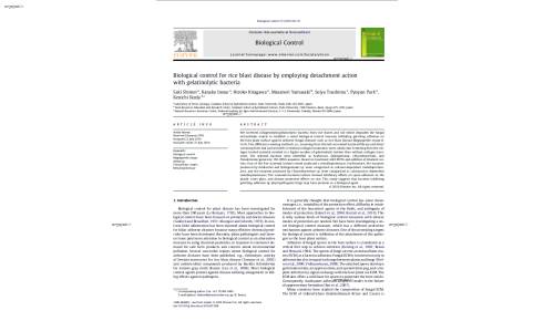 Biological control for rice blast disease by employing detachment action with gelatinolytic bacteria