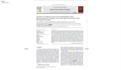 Potential of an indigenous strain of the entomopathogenic fungus Beauveria bassiana as a biological control agent against the Red Palm Weevil, Rhynchophorus ferrugineus