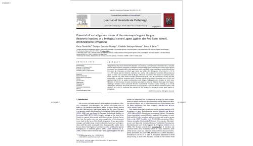 Potential of an indigenous strain of the entomopathogenic fungus Beauveria bassiana as a biological control agent against the Red Palm Weevil, Rhynchophorus ferrugineus
