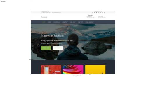 قالب وب سایت Pedggie  قالب وب سایت Pedggie