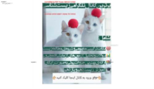 جزوه جمع بندی زیست کم حجم 170 صفحه