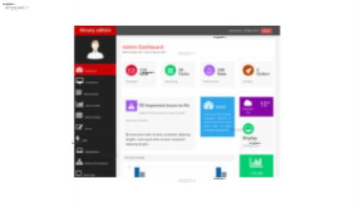 قالب وب سایت Binary Admin 