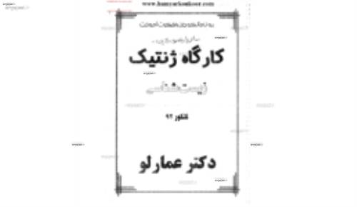 جزوه کارگاه استاد عمارلو