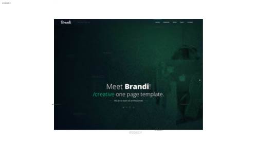 قالب وب سایت Brandi  قالب وب سایت Brandi