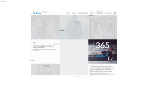 قالب وب سایت Picku  قالب وب سایت Picku