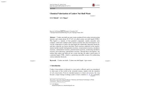 Chemical Valorization of Cashew Nut Shell Waste