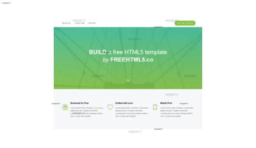 قالب وب سایت Build 