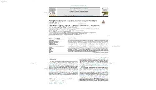 Microplastics in oysters Saccostrea cucullata along the Pearl River Estuary, China*