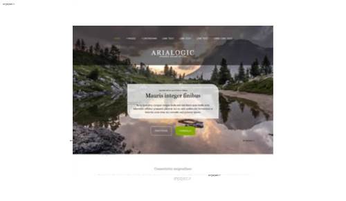 قالب وب سایت Arialogic 