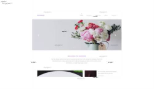 قالب وب سایت Narrow 