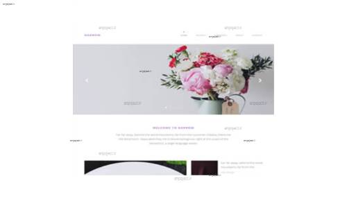 قالب وب سایت Narrow 