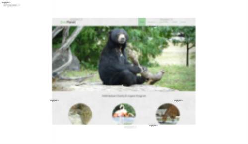 قالب وب سایت Zoo Planet 