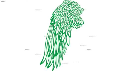 طرح وکتور بال پرنده طرح وکتور بال پرنده