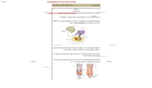 جزوه جمعبندی نکته های هورمون جزوه جمعبندی نکته های هورمون