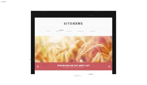 قالب وب سایت RS HTML 117  قالب وب سایت RS HTML 117