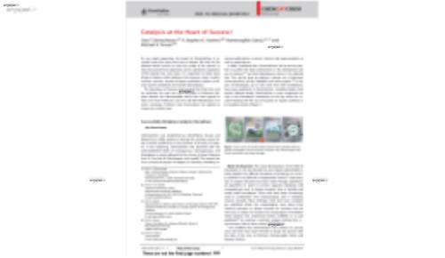 Iron-Catalyzed Chemoselective ortho Arylation of Aryl Imines by Directed C&#x2;H Bond Activation**