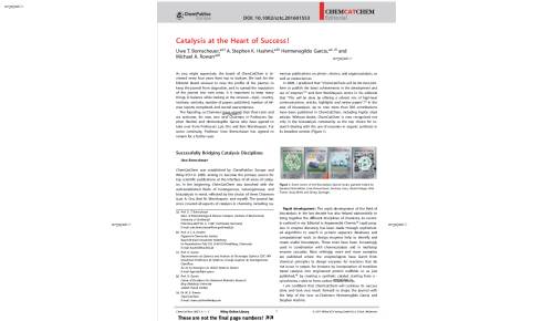 Iron-Catalyzed Chemoselective ortho Arylation of Aryl Imines by Directed C&#x2;H Bond Activation**