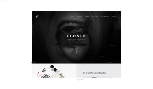 قالب وب سایت Flosix 