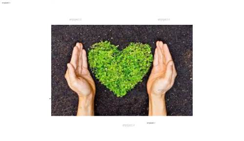 کاهش آسیب به محیط زیست درعملیات حفاری چاههای نفت کاهش آسیب به محیط زیست درعملیات حفاری چاههای نفت