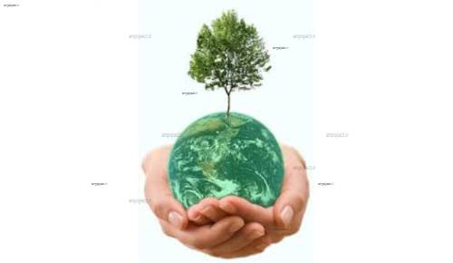 نخستین اجرای ماتریس ریاضی ارتقاء یافته برای ارزیابی اثرات توسعه کارخانه کمپوست در ایران (مطالعه موردی: کارخانه کمپوست شهرستان گلپایگان)