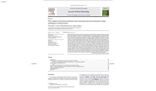 The complex interactions between host immunity and non-biotrophic fungal pathogens of wheat leaves