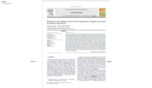Rhizosphere and endophytic bacteria for the suppression of eggplant wilt caused by Ralstonia solanacearum