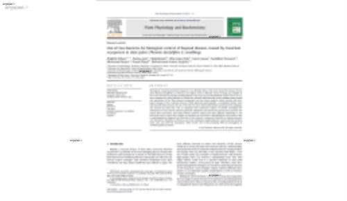 Use of two bacteria for biological control of bayoud disease caused by Fusarium oxysporum in date palm (Phoenix dactylifera L) seedlings