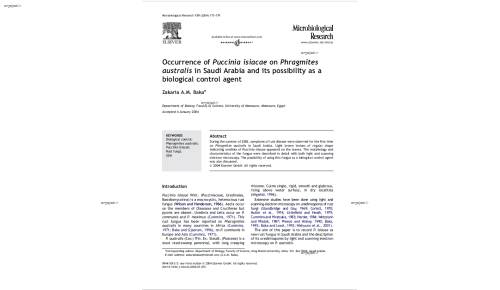 Occurrence of Puccinia isiacae on Phragmites australis in Saudi Arabia and its possibility as a biological control agent