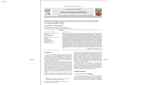 Postharvest biological control of anthracnose (Colletotrichum gloeosporioides) on mango (Mangifera indica)