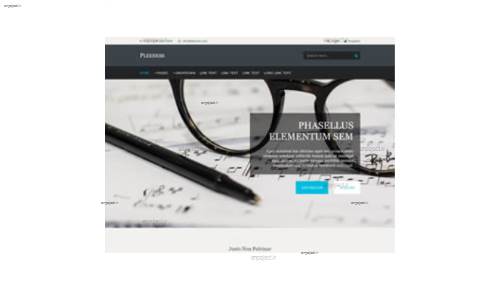 قالب وب سایت Pleeness 